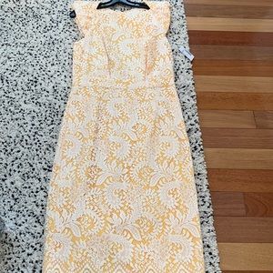 Badgley Mischka Collection